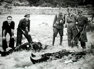 la matanza de paracuellos